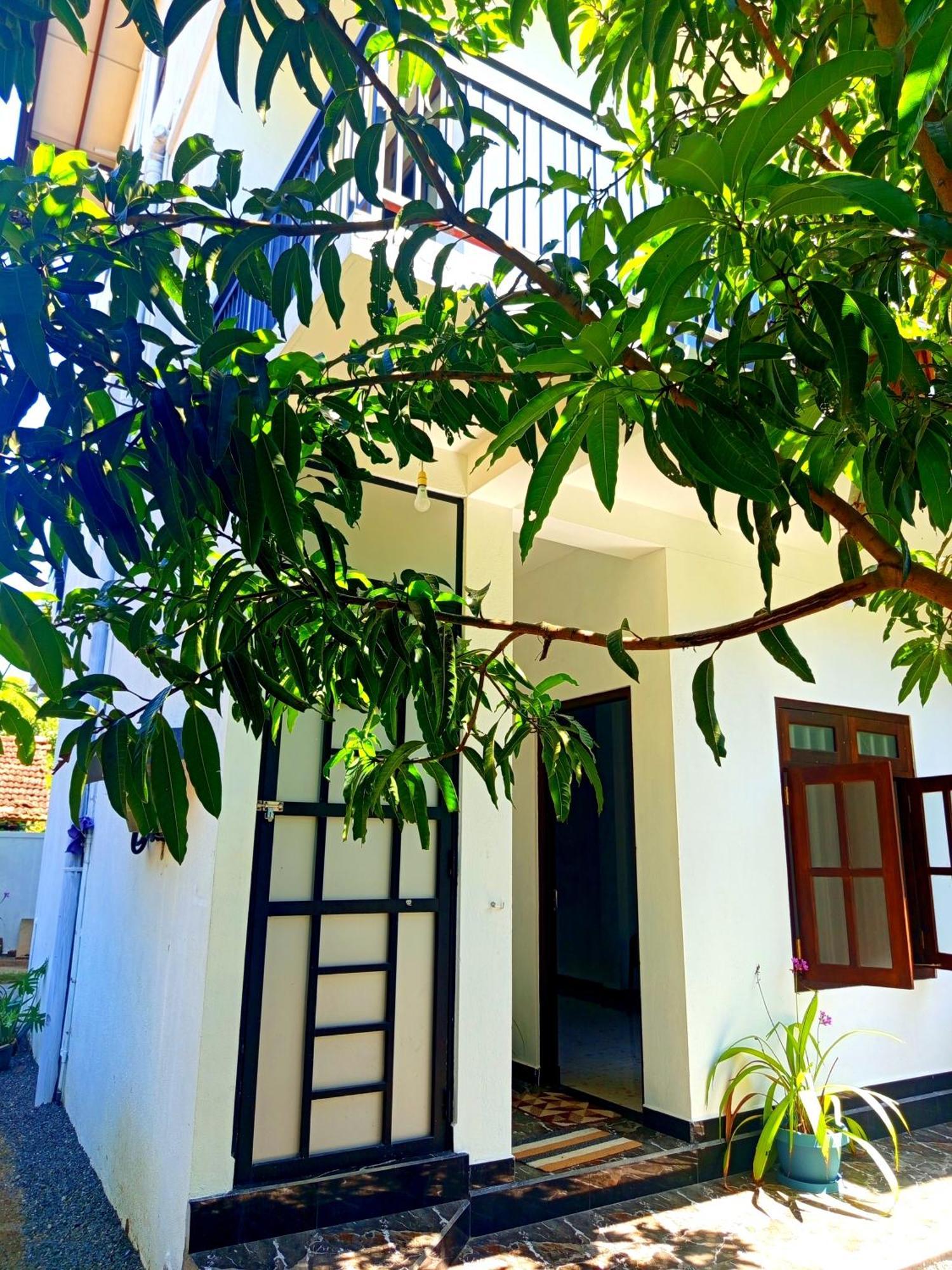 Olu Bunk Apartment Dikwella Bagian luar foto
